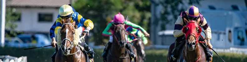 Currency Challenges Offset by Online Betting Surge