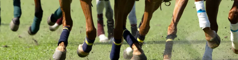 Has Australia Fallen Out of Love with Horse Racing? Why the Melbourne Cup Isn’t What It Used to Be