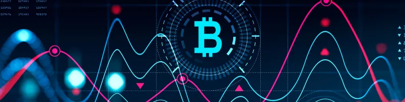 Is Your Crypto Truly Safe or Disappearing Into the Blockchain?