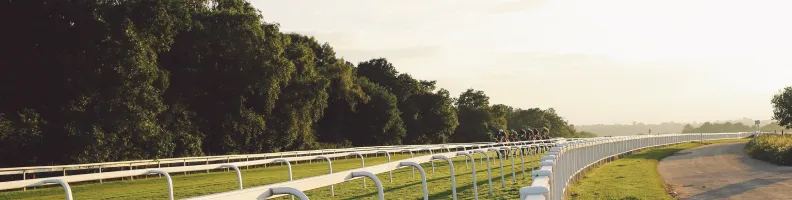 Advocating for Better Horse Care in the Racing World